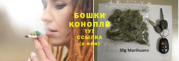 2c-b Богородск