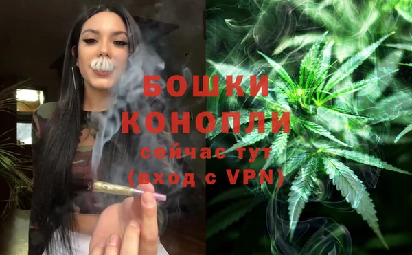 2c-b Богородск