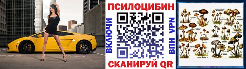 Псилоцибиновые грибы GOLDEN TEACHER  Киреевск 